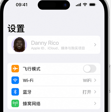 坊子appleID维修服务iPhone设置中Apple ID显示为灰色无法使用 