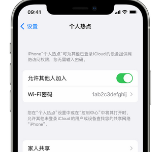 坊子apple服务站点分享iPhone上个人热点丢失了怎么办 