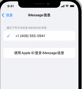 坊子apple维修iPhone上无法正常发送iMessage信息 