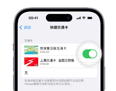 坊子apple维修点分享iPhone上更换Apple Pay快捷交通卡手绘卡面 