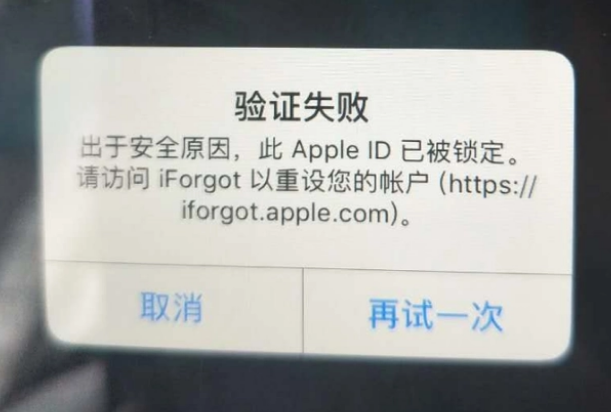 坊子iPhone维修分享iPhone上正常登录或使用AppleID怎么办 