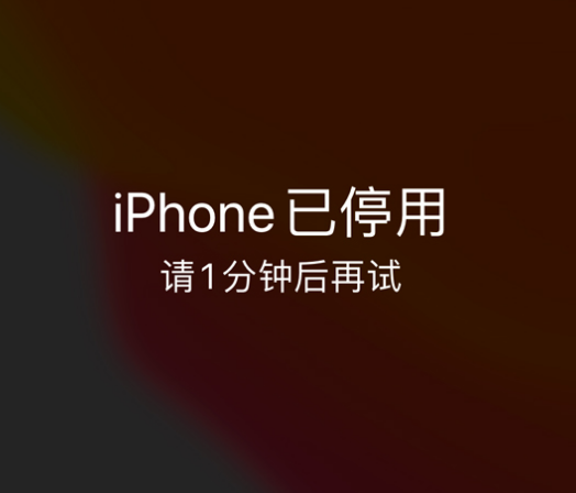坊子苹果手机维修分享:iPhone 显示“不可用”或“已停用”怎么办？还能保留数据吗？ 