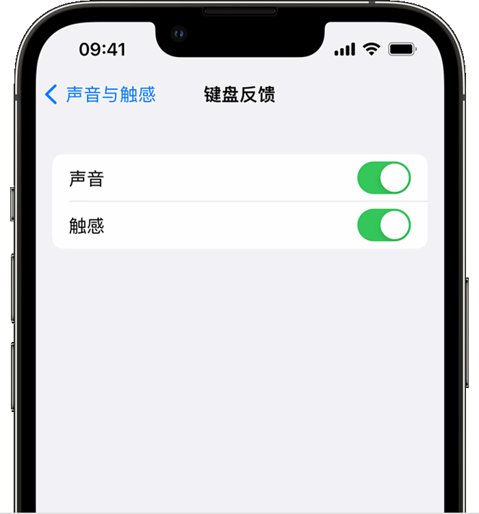 坊子苹果14维修店分享如何在 iPhone 14 机型中使用触感键盘 