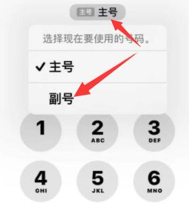 坊子苹果14维修店分享iPhone 14 Pro Max使用副卡打电话的方法 