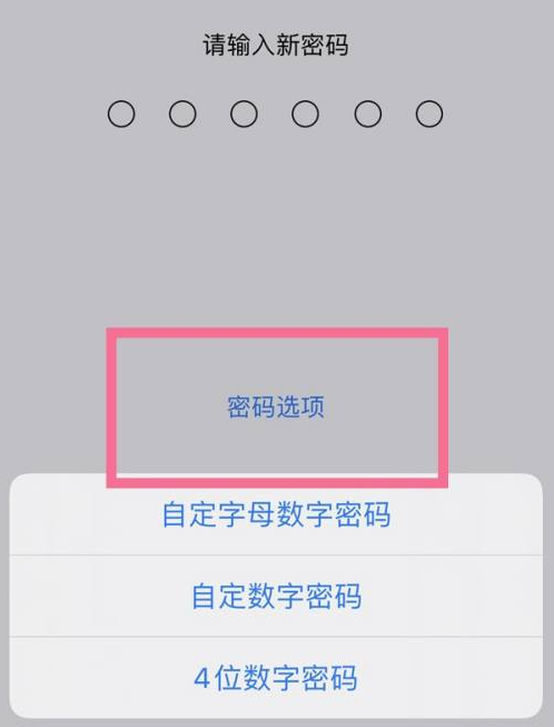 坊子苹果14维修分享iPhone 14plus设置密码的方法 