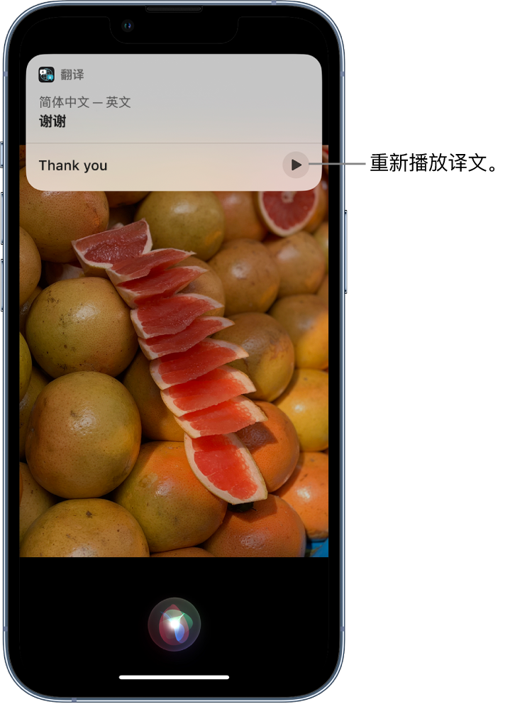 坊子苹果14维修分享 iPhone 14 机型中使用 Siri：了解 Siri 能帮你做什么 