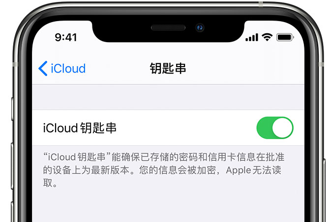 坊子苹果手机维修分享在 iPhone 上开启 iCloud 钥匙串之后会储存哪些信息 