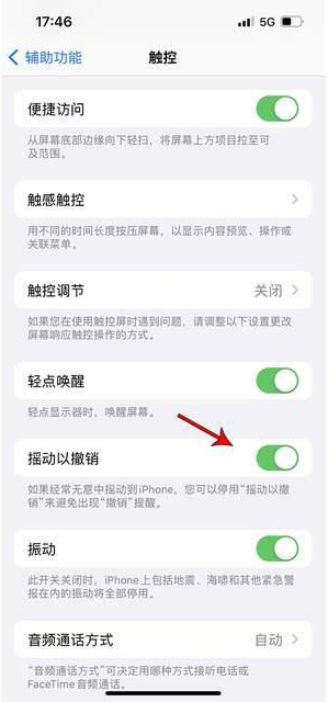 坊子苹果手机维修分享iPhone手机如何设置摇一摇删除文字 